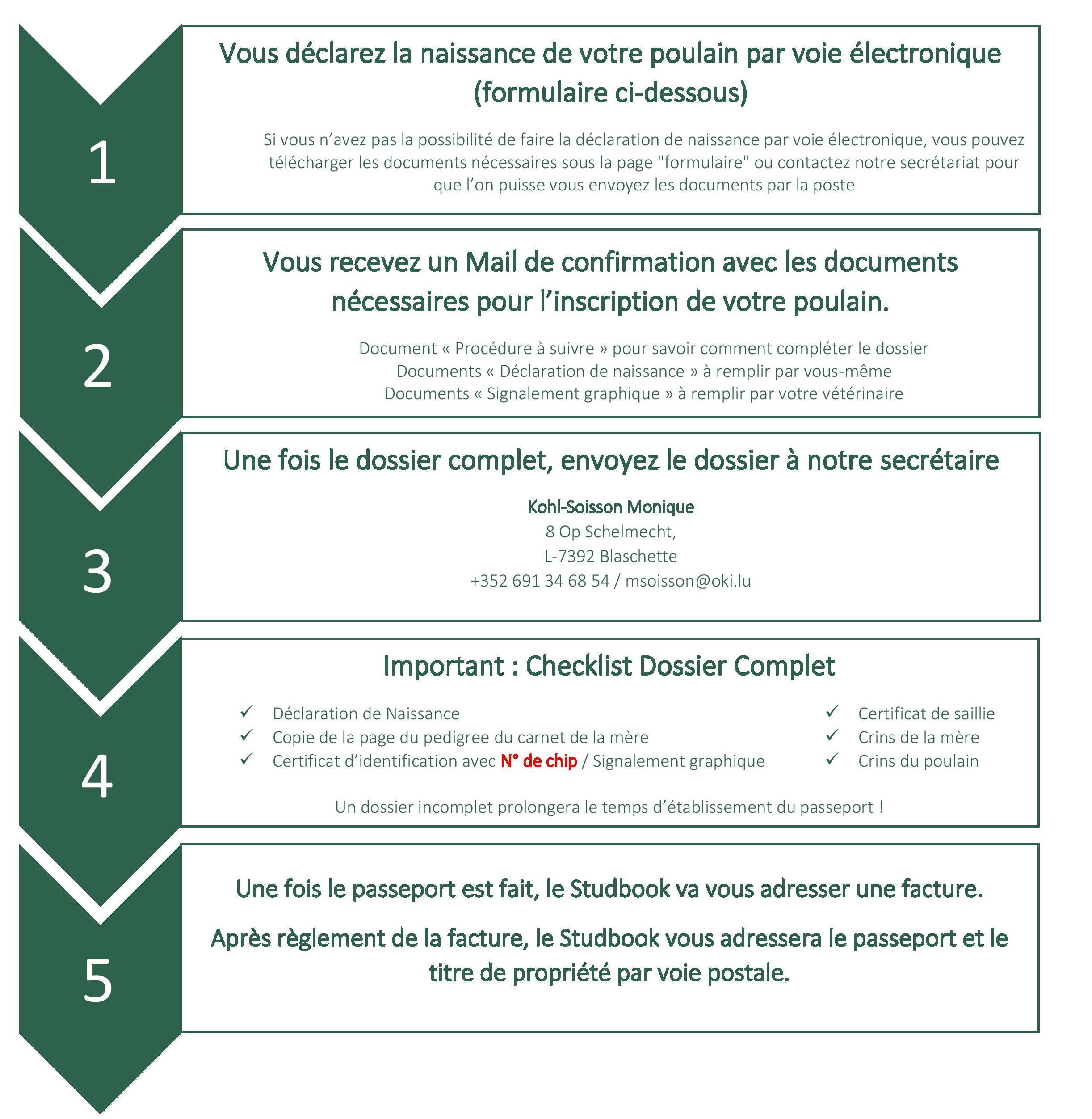 démarche decl de naissance site internet-page-001 (1)