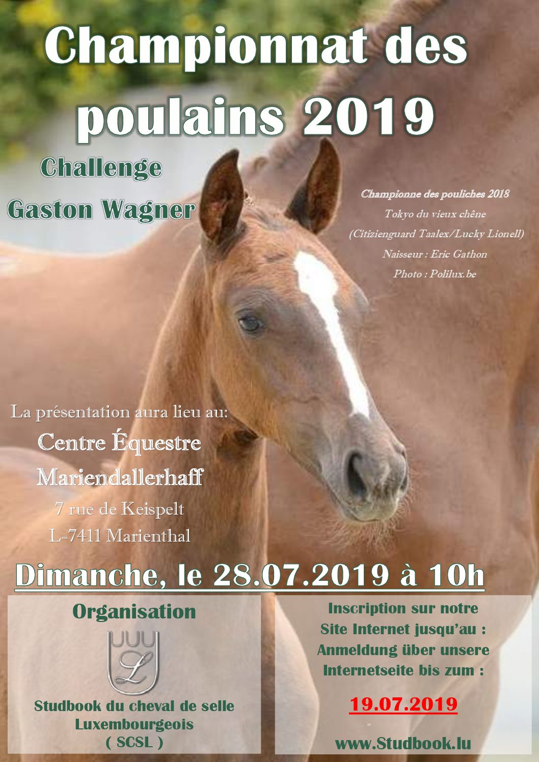 flyer championnat des poulains2019-komprimiert